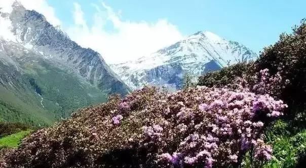 成都周边51花样耍法，人少景美不要钱!