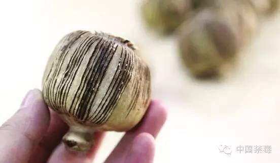 ?这么冷的天要吃火锅?!当心大烟壳!