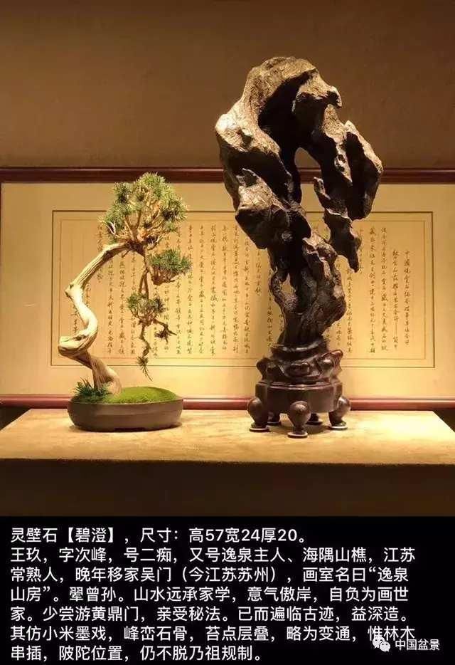 苏派文化意境诗文书画培育了苏派园林, 苏派盆景与苏派赏石