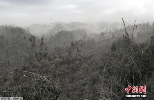 菲律宾塔阿尔火山爆发