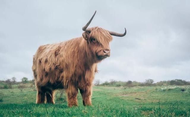 区块链溯源技术开发