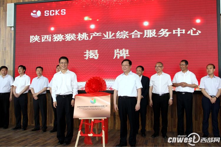 陕西猕猴桃产业综合服务中心在眉县成立 借鉴