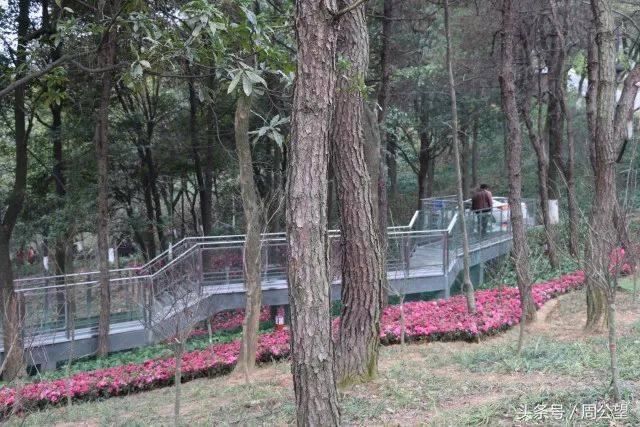 株洲醴陵的玻璃栈道,别人都在拍照,你还没有来