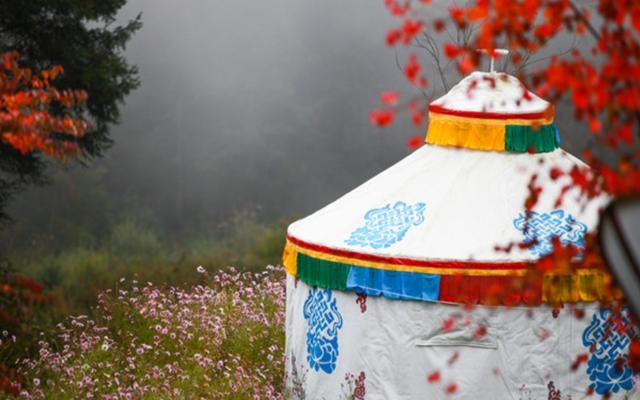 不好意思 ,我要去雅安了