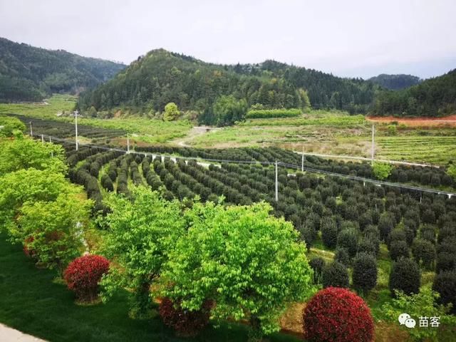 大竹周末游玩攻略,大竹周末游玩攻略大全