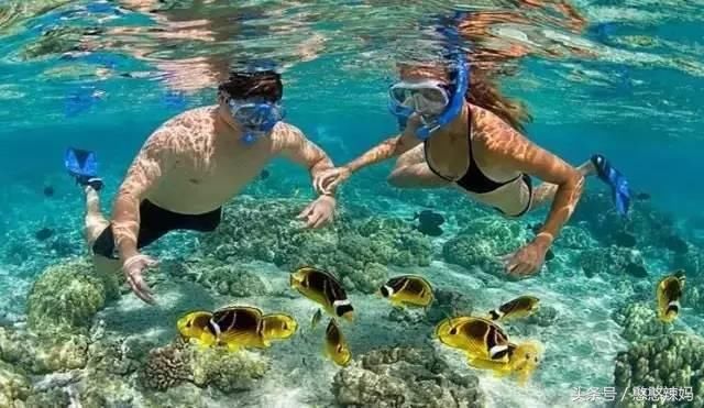 去苏梅岛选对交通方式，省好多，这几种入岛方式你知道吗？