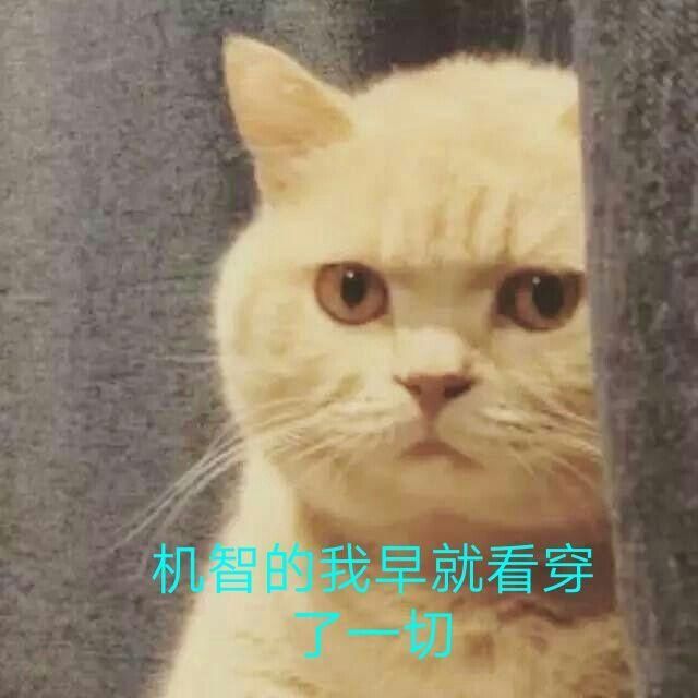 卖房与落户，马甲很重要