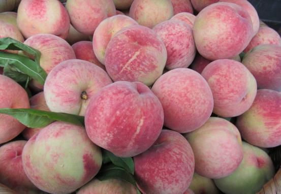 桃农5毛钱一斤都卖不出去,城里却只舍得买几个