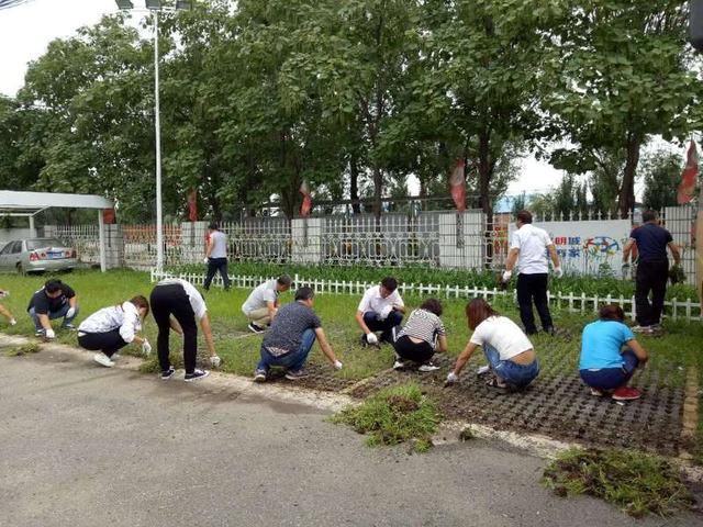 沈北新区马刚街道:志愿者助力三城联创,义务劳