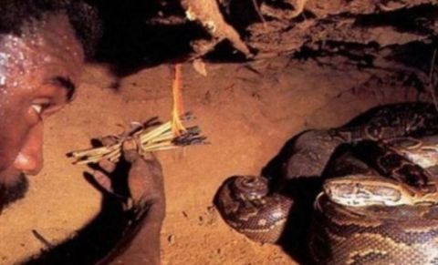 为吃野味,男子做诱饵引蛇出洞,结果让他哭了