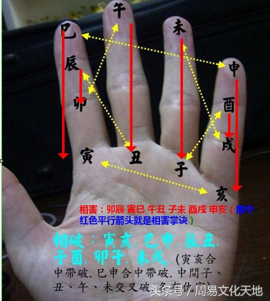几张图让你快速记忆八字地支相冲合害掌诀学会