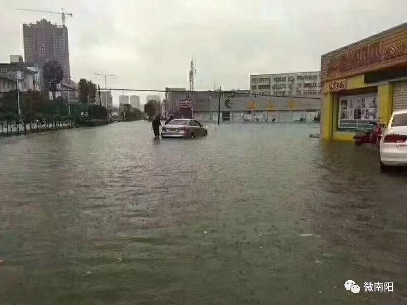 暴雨突袭南阳变水城!有人街上逮鱼，有人开推土机接媳妇!