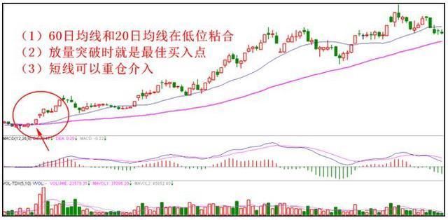 一个资深老股民的肺腑之言：只买一种股票，盈利十年从不停止