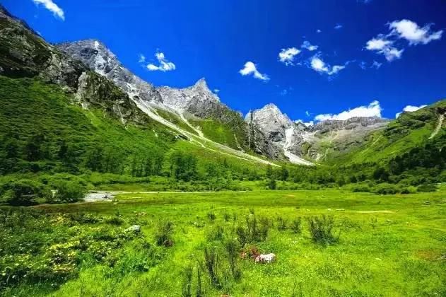 门票只要9.9！成都自驾3h，邂逅阿坝小瑞士！踏青、赏花、泡温泉