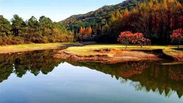 湖北这个县城又拿下一块 国字号 招牌,65万多人