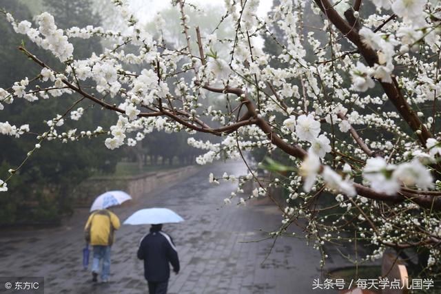 上联：春雨濛濛润桃李， 求下联