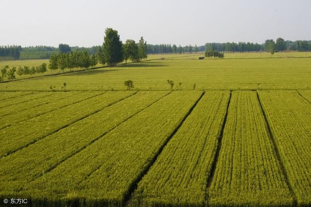 农村新增人口没有地怎么解决？别急，最新消息来了！