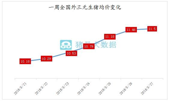 猪肉走货量不高，这波上涨能持续多久？