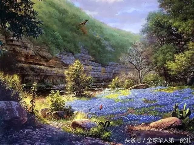 30张超美的美国风光油画