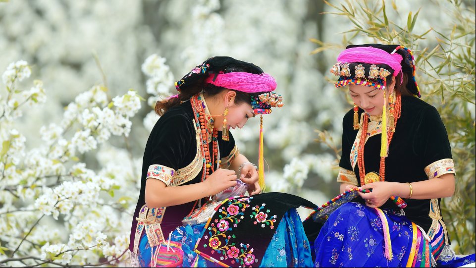 中国最美乡村丹巴 迎来梨花的最佳观赏期