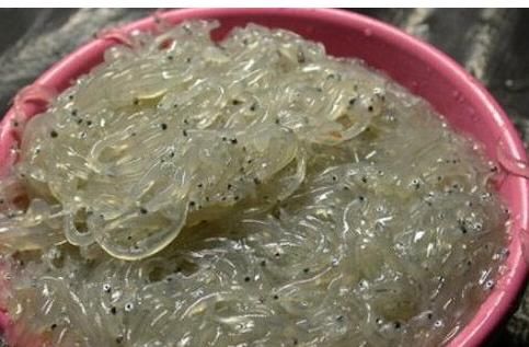 这些变态食物，你能承受到哪个级别？