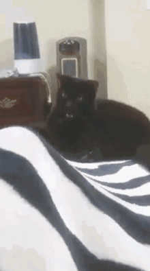 搞笑gif:妹子能从树上下来吗?拍个照不至于吧,真是厉害啊