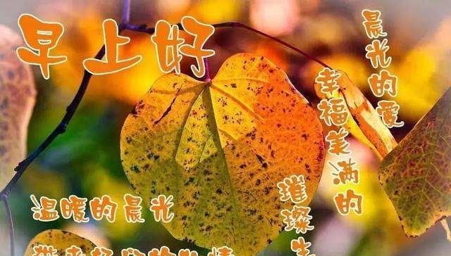 早上好各种图片