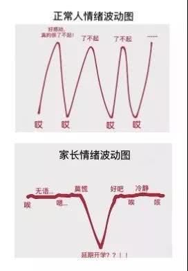 教师资格证网课哪个好