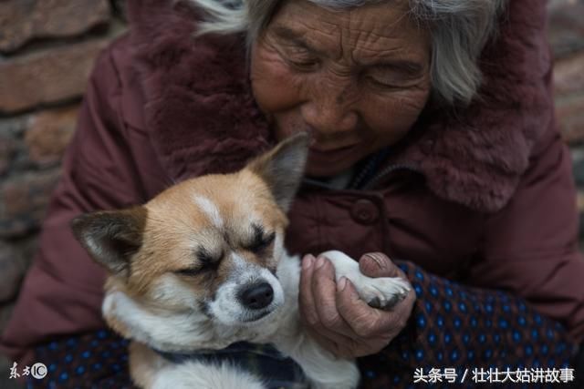 去城里儿子家过年，儿媳在厨房忙了一下午，放下筷子我哭成泪人