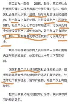 扫黑除恶专业问题,是相信条文?还是相信10