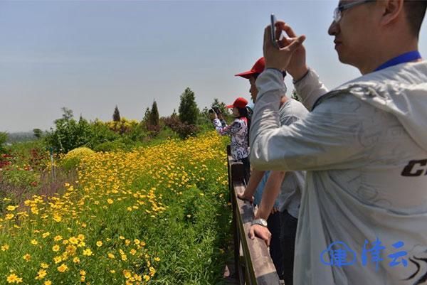 走进正定县滹沱河倒虹吸工程 修复京津冀水生态环境