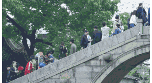 这里装下了整个西塘