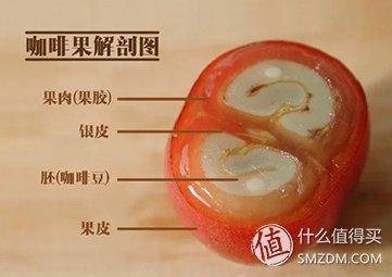 一篇文章带你进入咖啡的圈子 篇一:怎么制作一杯好喝的脏咖啡