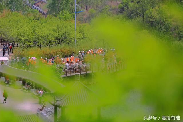 “既有黄花溪，何须去九寨” 这里负离子爆表 五一畅游寄情山水间