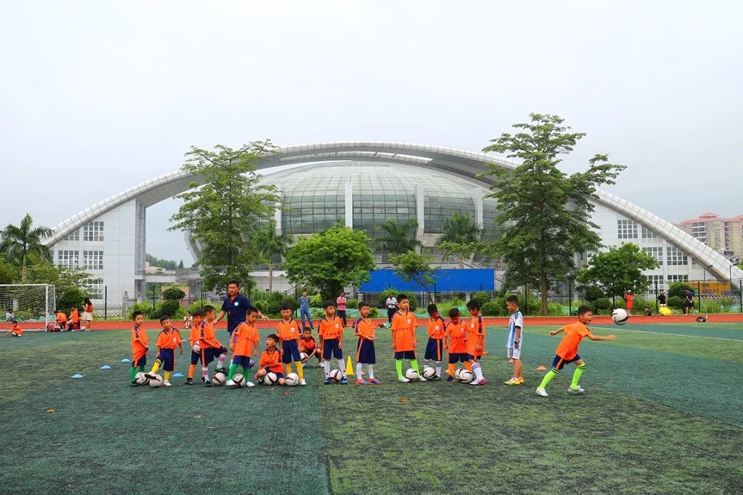 怀集足协2018少儿足球公益培训活动结束,12
