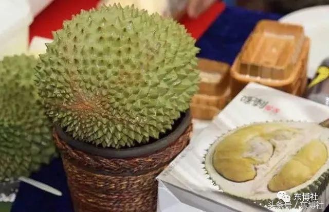 yqyq榴莲运营,榴莲创业