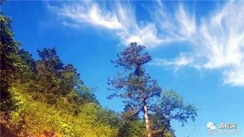 【RV达人】大忙人一个二十多岁就开始了自己房车之旅的“奇人”