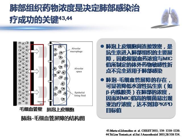 重症流感到重症肺炎的治疗