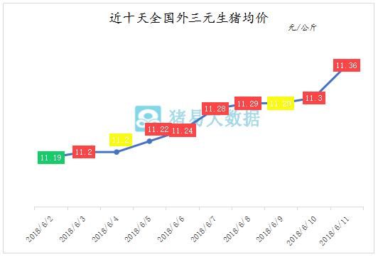 猪价上涨！谨慎补栏