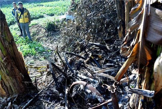 成都近百辆共享单车被烧成光架子 警方立案