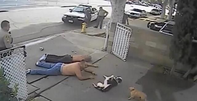 两男子街头打架,警察将其按到在地,下一秒狗狗