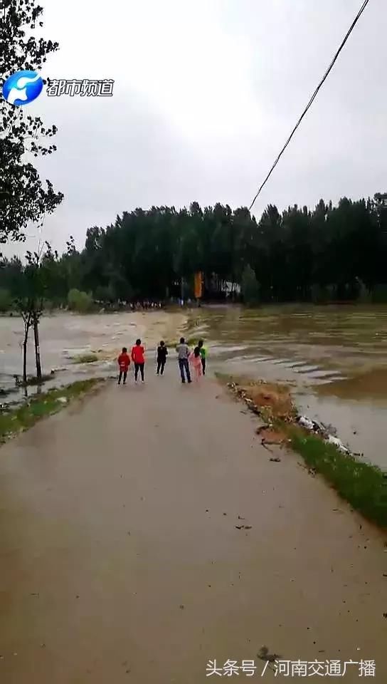 南阳突遭暴雨！淅川、邓州受灾严重，水深齐腰、房屋受损……