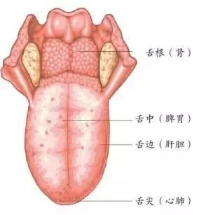 教你一套不用花钱的，自我体检法！