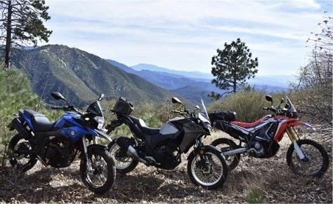 国产摩托排名_国产汽车十大排名suv(2)