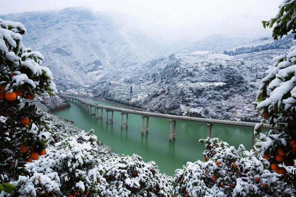 【美翻了，我的村】湖北宜昌深渡河村:车在画中“游”