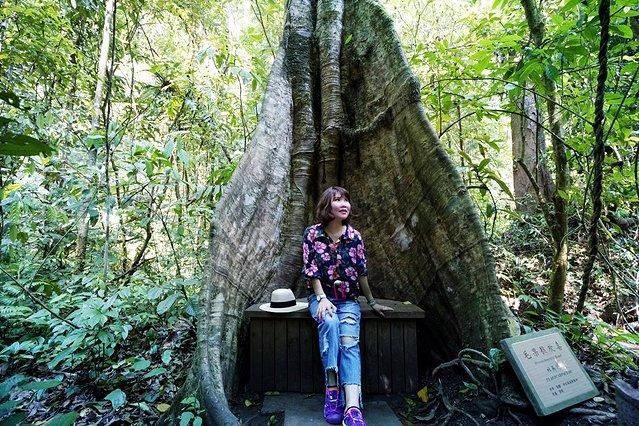 7天6晚，玩转傣历新年泼水盛会