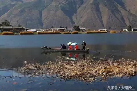 彩色大理，魅力洱源走进诗情画意的洱海之源