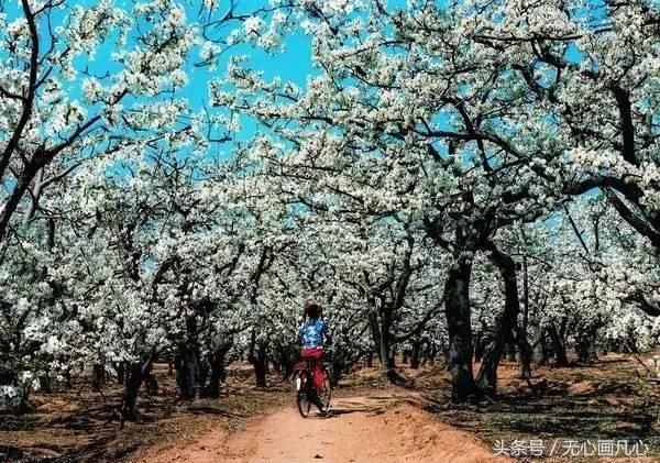 收好 | 清明小长假，石家庄周边游玩指南！