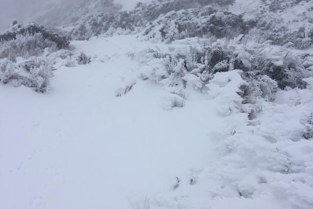 地球环境最险恶的无人岛，地表接近火星！