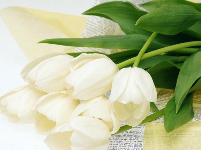 2018年7月份爱情来的快、正缘要出现的三大生